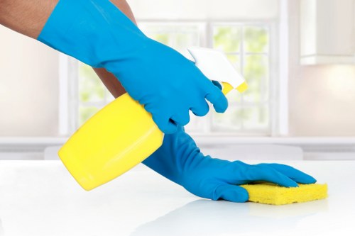 Professional one off cleaning in a living room