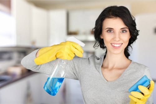 Professional-style deep cleaning for a fresh and healthy home