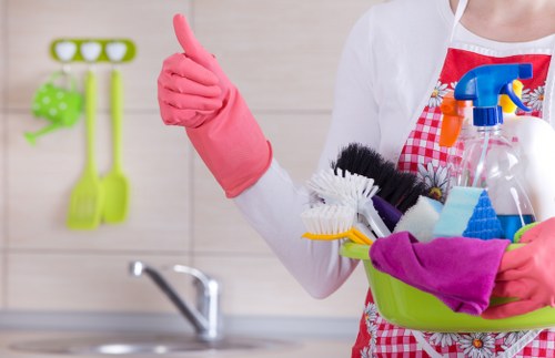 Window cleaning tools including squeegee, microfiber cloths, and scrubber