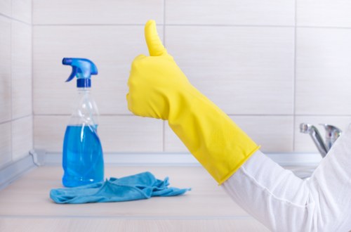 Regular cleaning supplies arranged for home maintenance