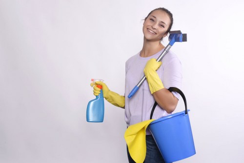Technician using a squeegee during window cleaning service