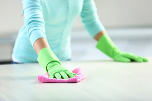 Final section illustrating professional cleaning support in Ealing