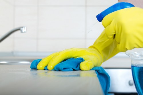 Kitchen domestic cleaning with sparkling counters and appliances